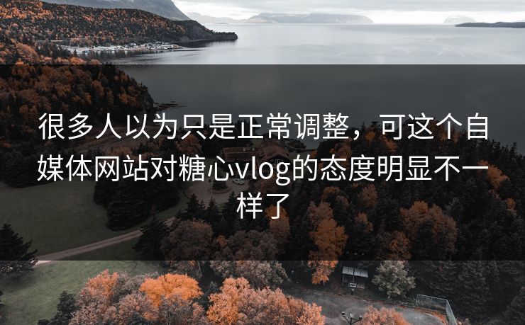 很多人以为只是正常调整，可这个自媒体网站对糖心vlog的态度明显不一样了