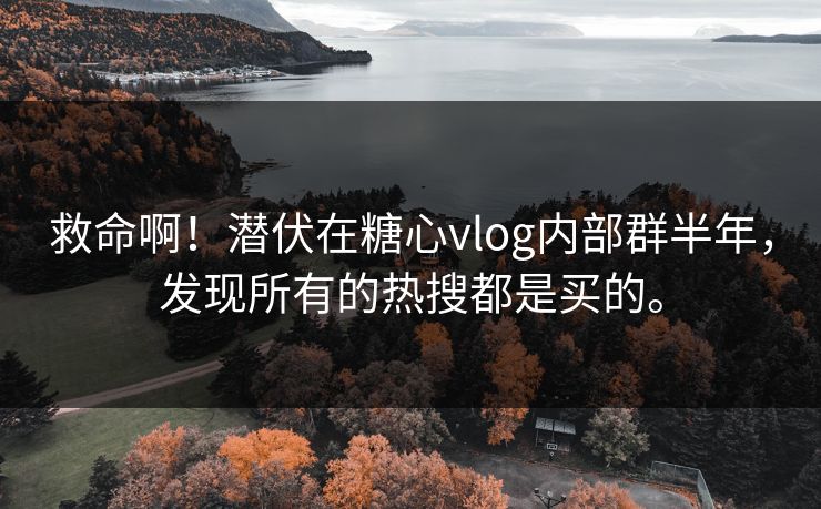 救命啊！潜伏在糖心vlog内部群半年，发现所有的热搜都是买的。