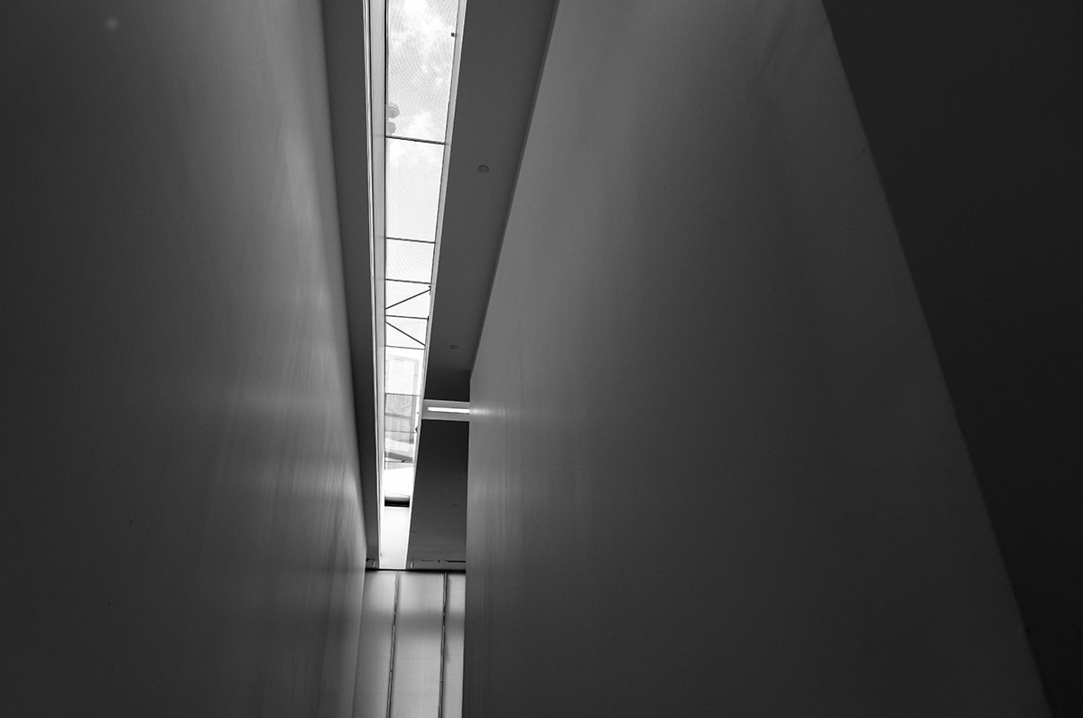 救命啊！被<strong>糖心vlog</strong>限流的第10天，被里面的吃相恶心到了。